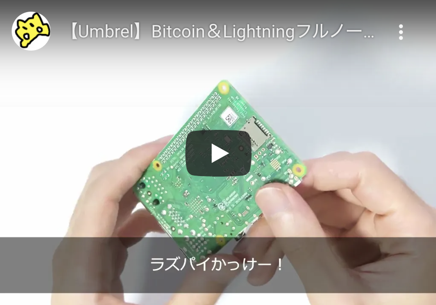 動画付き】Umbrelを使ってBitcoin＆Lightningフルノードを構築する方法 | ロストイン・ビットコイン